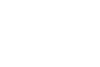 meticulous icon